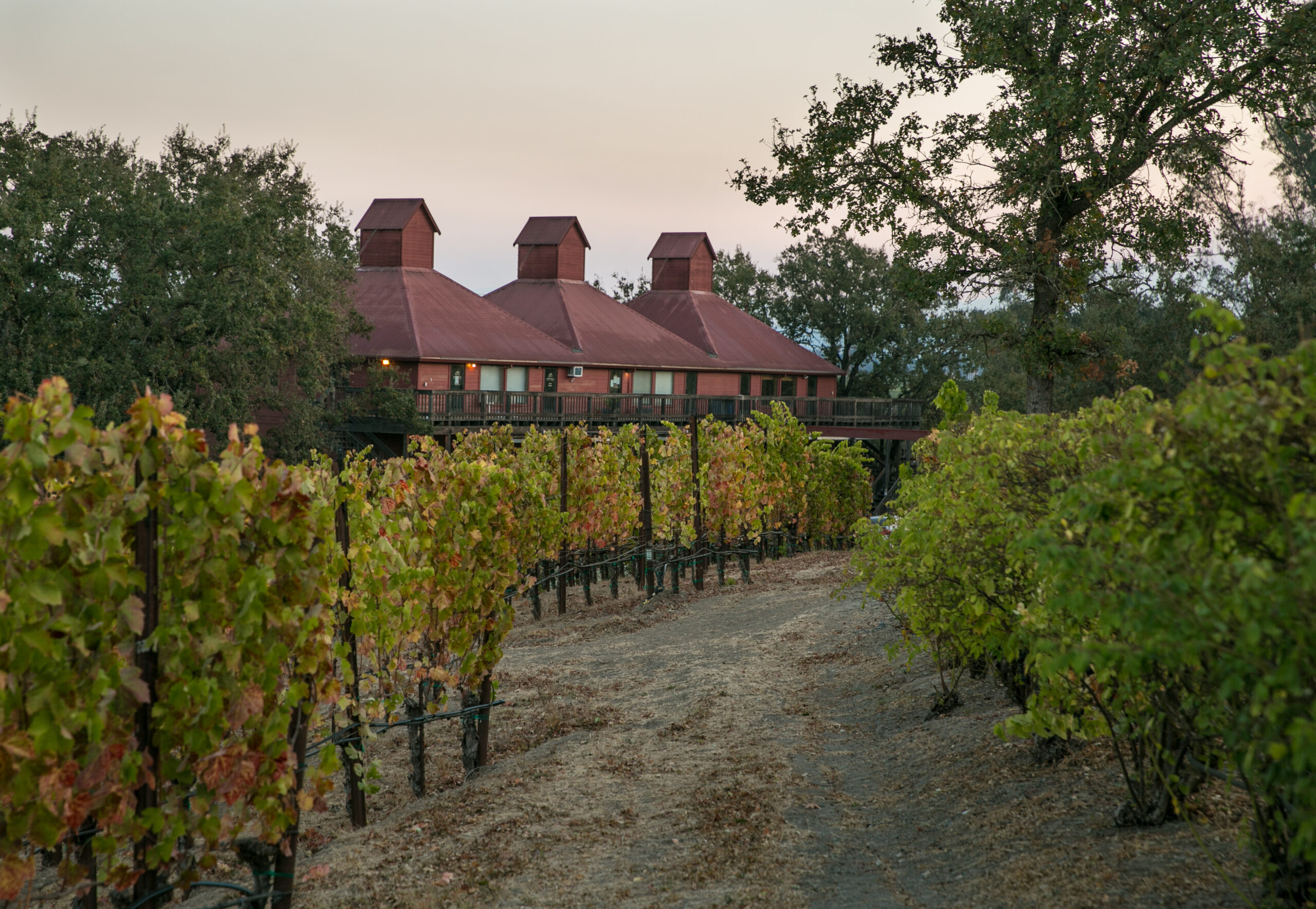 3 Cuppolas on red hop kiln building with vineyards in front